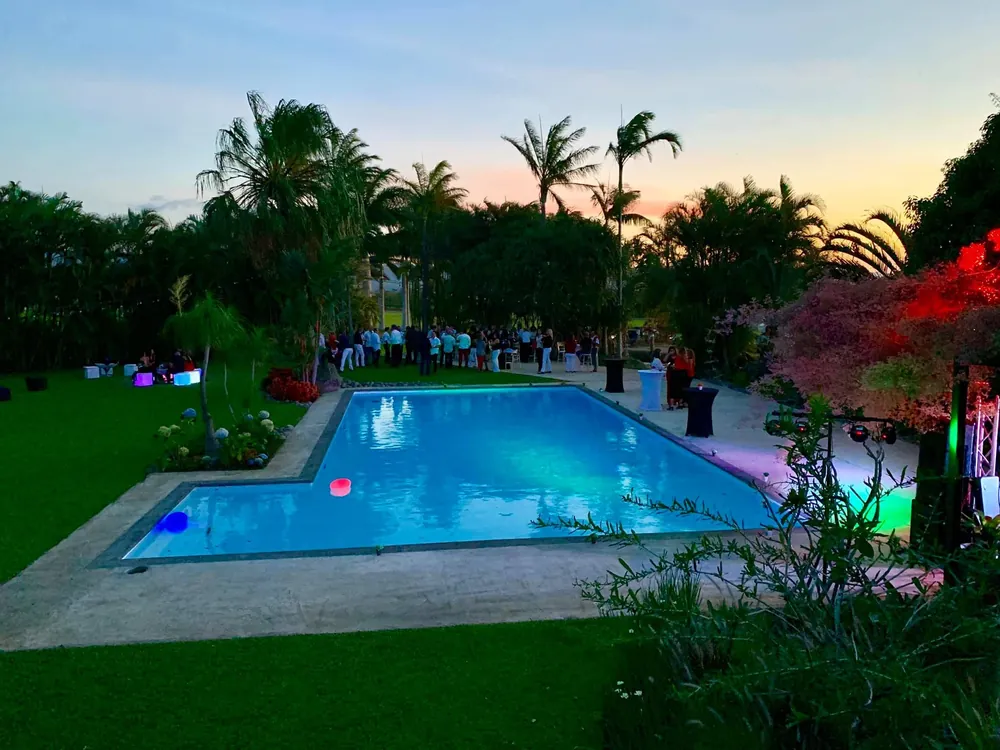 Piscina iluminada al atardecer, rodeada de palmeras e invitados